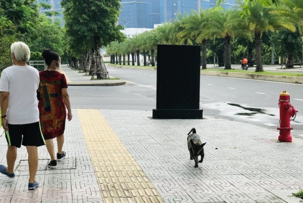 Không để người dân bất an với nạn chó thả rông Không để người dân bất an với nạn chó thả rông