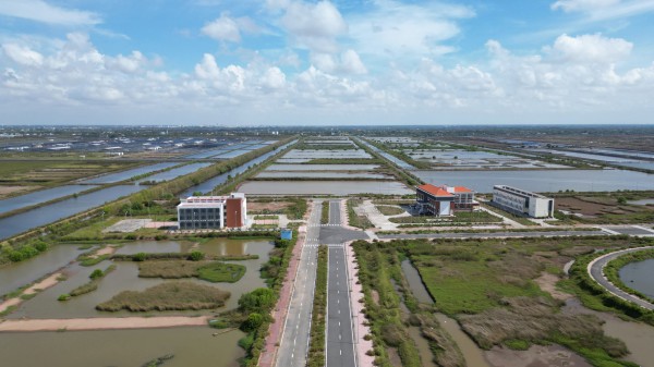 Khu tôm công nghệ cao 338 tỉ đồng tại Cà Mau bây giờ ra sao?