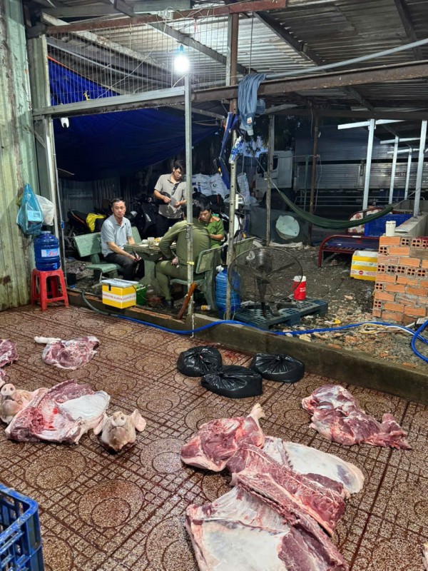 Kiểm tra xe tải vào TP.HCM, phát hiện 620 con vịt không kiểm dịch
