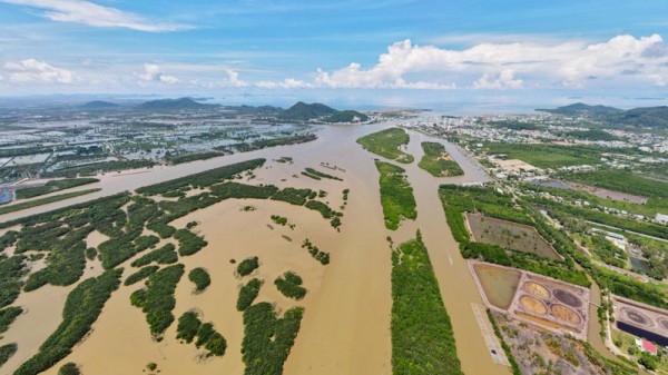 Kiên Giang: Thêm 1 người bị xử phạt 500 triệu đồng vì chiếm đất đầm Đông Hồ