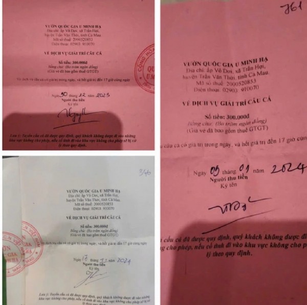 Kiến nghị kiểm điểm Giám đốc Vườn U Minh Hạ vụ vé câu cá tự in