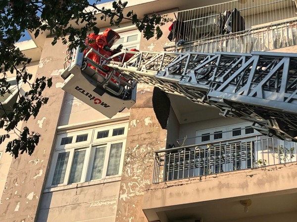 Kịp thời xử lý tổ ong 'khủng' trong khu dân cư ở TP.HCM Kịp thời xử lý tổ ong 'khủng' trong khu dân cư ở TP.HCM