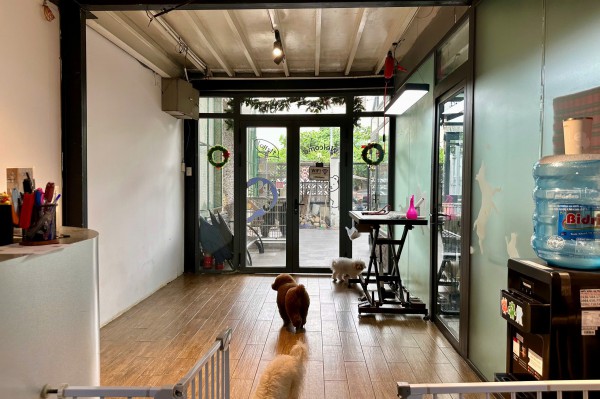 Làm đẹp thú cưng ở TP.HCM: Áp lực 'khủng' với khách hàng 4 chân Làm đẹp thú cưng ở TP.HCM: Áp lực 'khủng' với khách hàng 4 chân