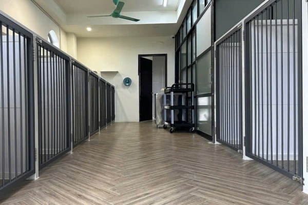 Làm đẹp thú cưng ở TP.HCM: Áp lực 'khủng' với khách hàng 4 chân Làm đẹp thú cưng ở TP.HCM: Áp lực 'khủng' với khách hàng 4 chân