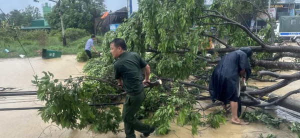 Lâm Đồng: Mưa lớn kèm gió giật làm tốc 11 mái nhà, gãy hàng chục cây xanh