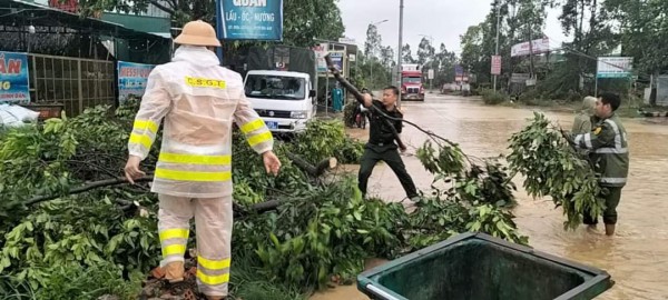 Lâm Đồng: Mưa lớn kèm gió giật làm tốc 11 mái nhà, gãy hàng chục cây xanh