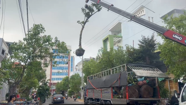 Lâm Đồng: Xe tải gắn cẩu va vào lưới điện 3 pha, tài xế tử vong