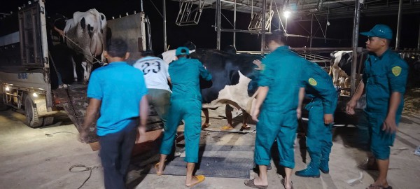 Lâm Đồng: Xuyên đêm đưa dân ra khỏi vùng rốn lũ Cát Tiên