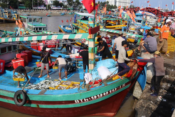 Lâm Đồng mở cao điểm siết IUU, chặn tàu cá vi phạm ngay từ trong bờ