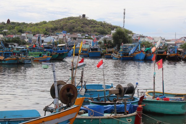 Lâm Đồng mở cao điểm siết IUU, chặn tàu cá vi phạm ngay từ trong bờ