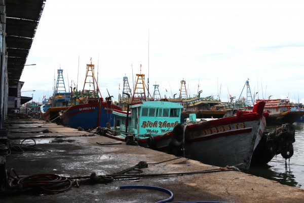 Lâm Đồng siết chặt quản lý đội tàu, quyết liệt ngăn chặn vi phạm IUU Lâm Đồng siết chặt quản lý đội tàu, quyết liệt ngăn chặn vi phạm IUU