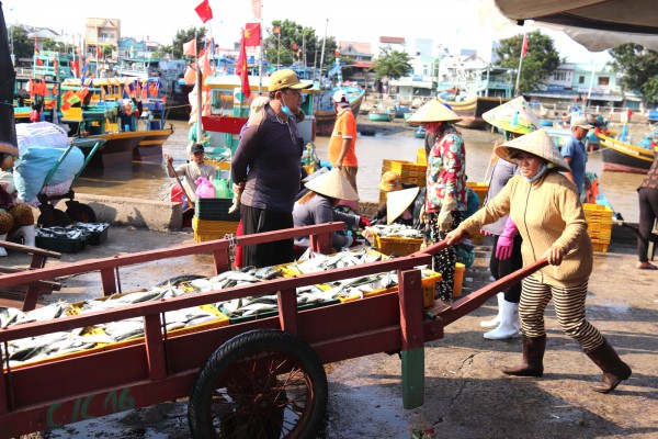 Lâm Đồng siết chặt quản lý đội tàu, quyết liệt ngăn chặn vi phạm IUU Lâm Đồng siết chặt quản lý đội tàu, quyết liệt ngăn chặn vi phạm IUU