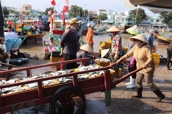 Lâm Đồng tiến ra biển lớn: Biển khơi máu thịt ngàn đời Lâm Đồng tiến ra biển lớn: Biển khơi máu thịt ngàn đời