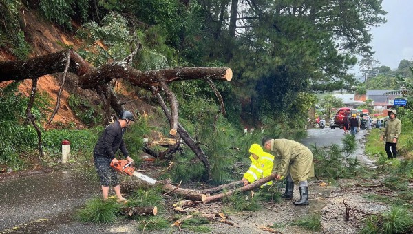 Lâm Đồng ứng phó khẩn cấp tình trạng sạt lở liên tiếp Lâm Đồng ứng phó khẩn cấp tình trạng sạt lở liên tiếp