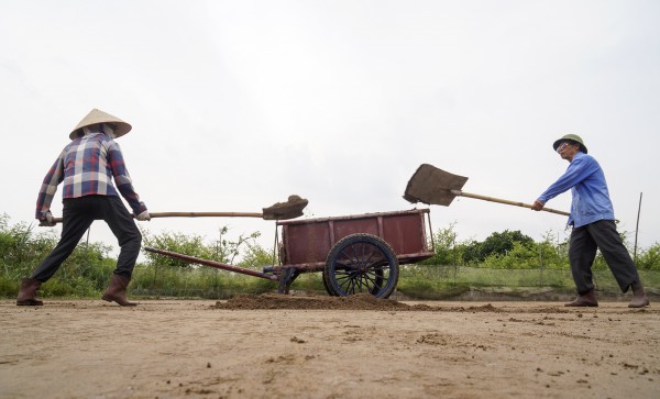 Làm muối trong vườn nhà