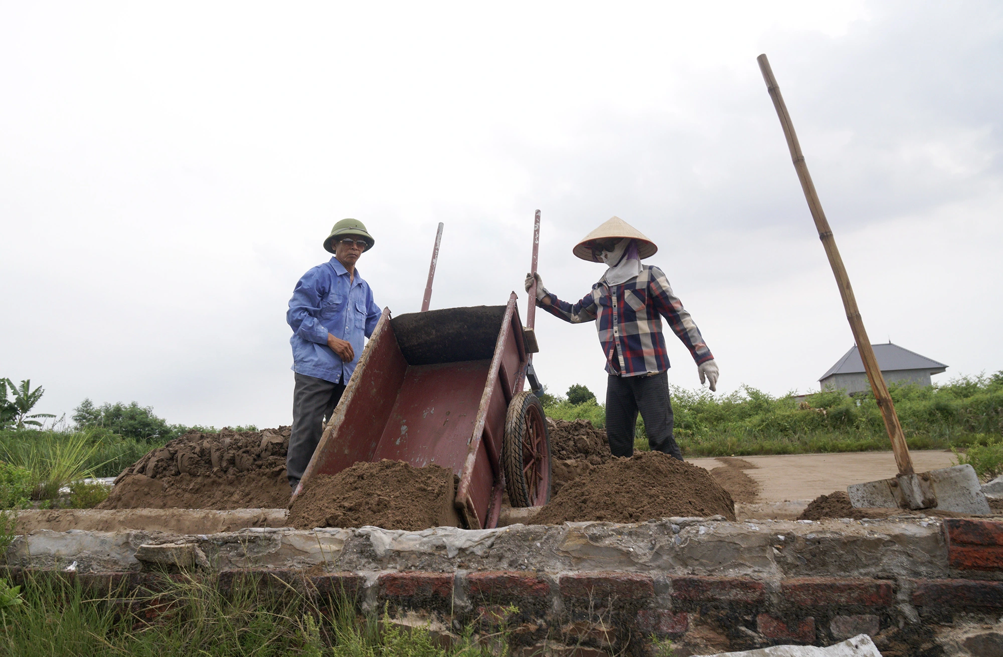 Làm muối trong vườn nhà