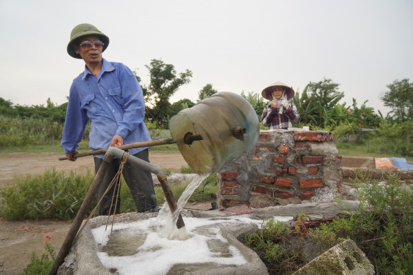 Làm muối trong vườn nhà