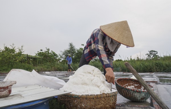 Làm muối trong vườn nhà