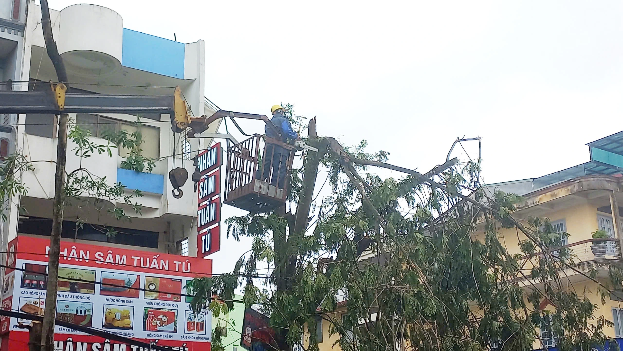 ‘Lính đặc nhiệm’ TP.HCM bay ra Hải Phòng hỗ trợ khắc phục hậu quả bão số 3