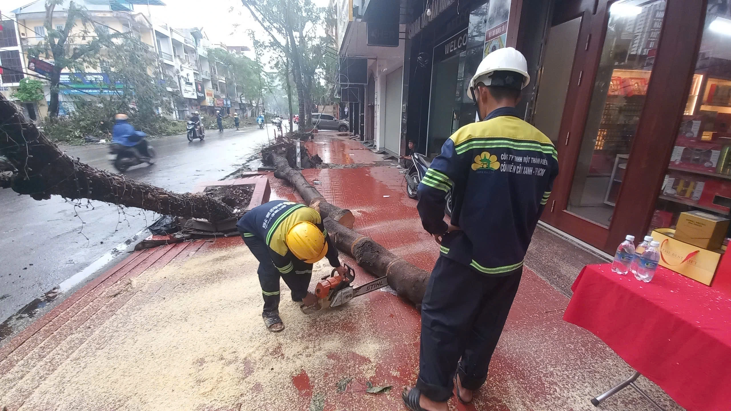 ‘Lính đặc nhiệm’ TP.HCM bay ra Hải Phòng hỗ trợ khắc phục hậu quả bão số 3