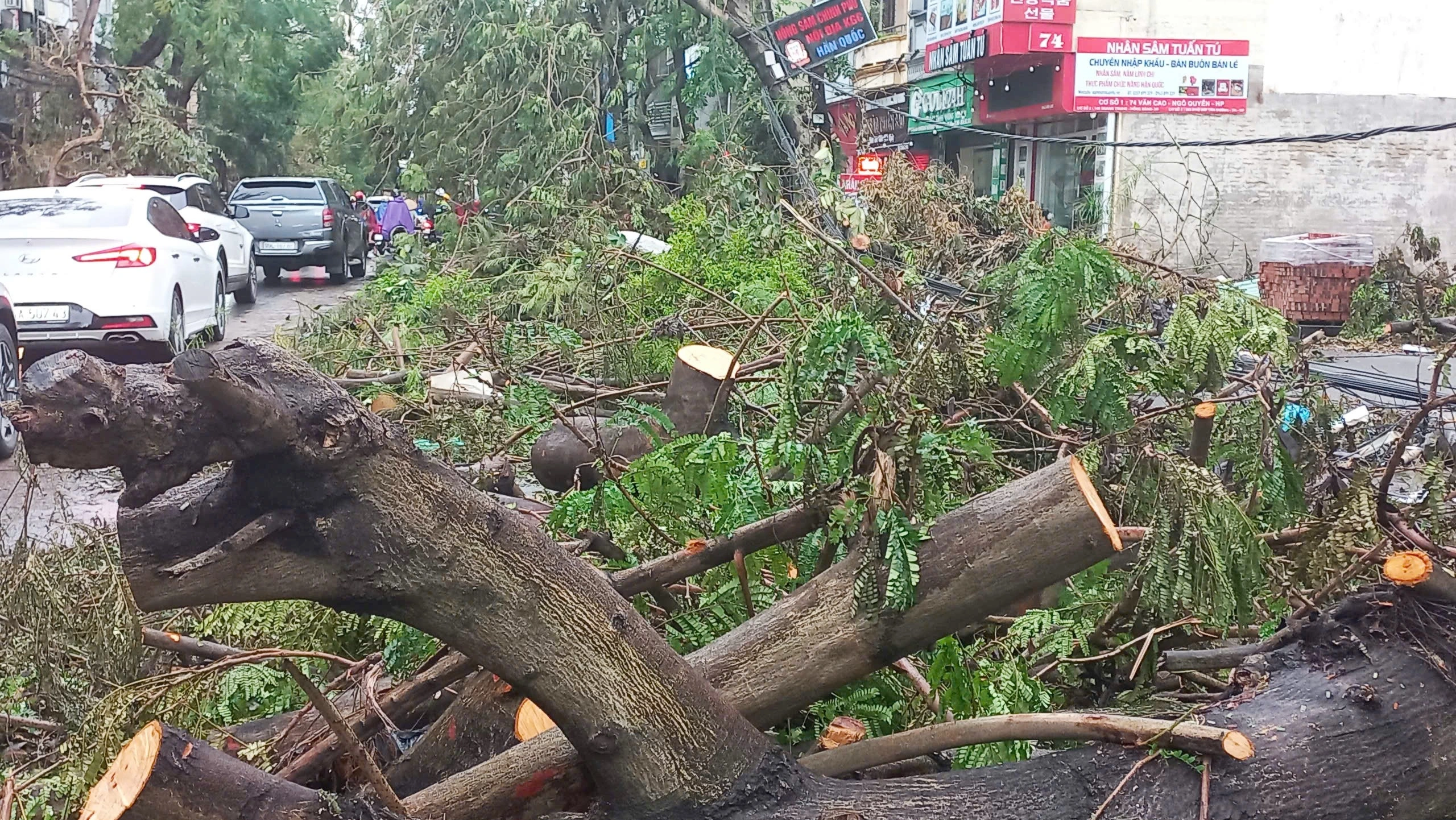 ‘Lính đặc nhiệm’ TP.HCM bay ra Hải Phòng hỗ trợ khắc phục hậu quả bão số 3