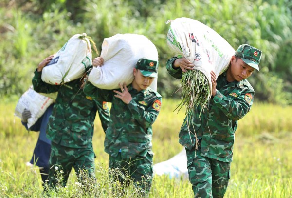 Lính vùng biên và dân bản cùng gặt lúa trong ngày mùa bỏng rát