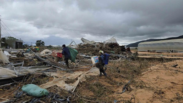 Lũ cuốn trôi 'thủ phủ' rau Lâm Đồng