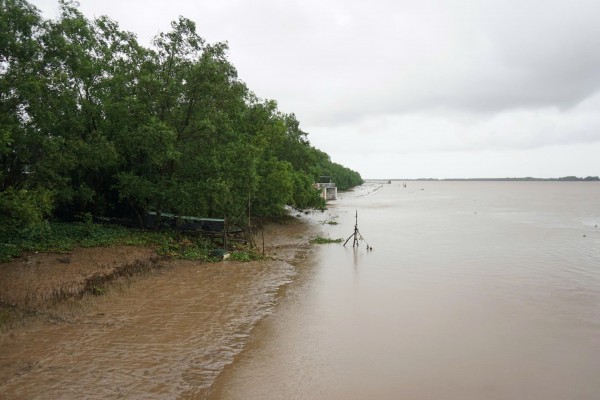 Lũ khả năng dâng cao, Đồng Tháp cảnh báo khẩn Lũ khả năng dâng cao, Đồng Tháp cảnh báo khẩn