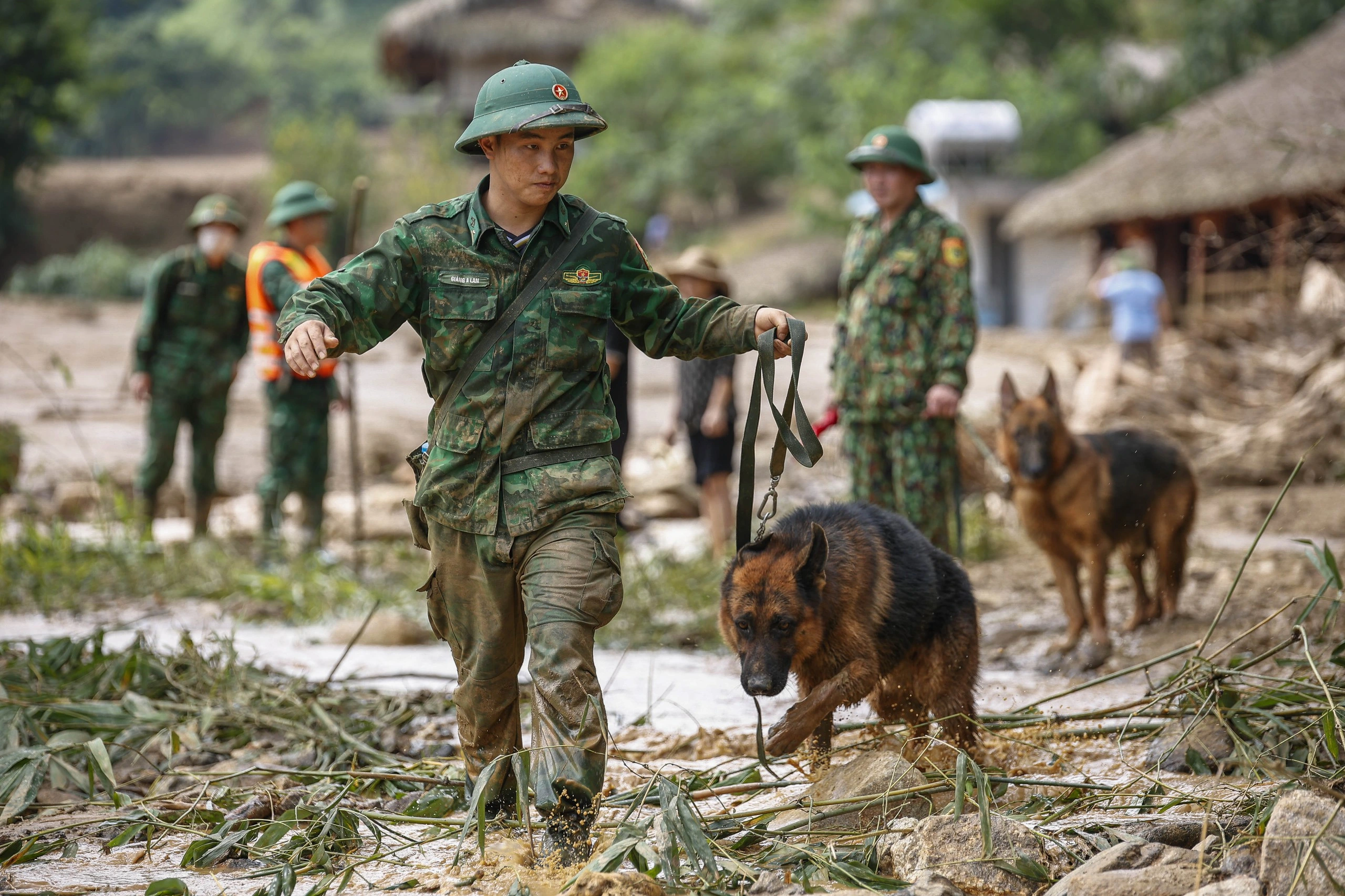 'Lực lượng' đặc biệt tham gia tìm kiếm nạn nhân ở Làng Nủ