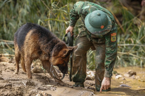 'Lực lượng' đặc biệt tham gia tìm kiếm nạn nhân ở Làng Nủ