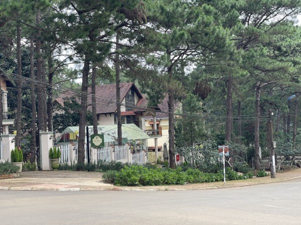 Măng Đen làm gì để thu hút 2,5 triệu lượt khách? Măng Đen làm gì để thu hút 2,5 triệu lượt khách?