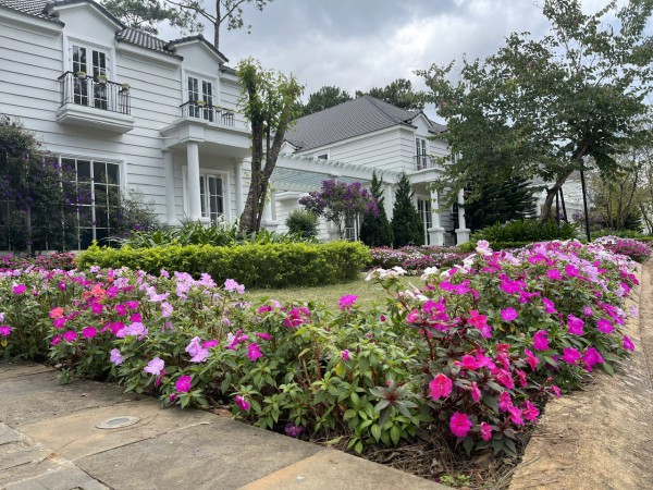 Măng Đen làm gì để thu hút 2,5 triệu lượt khách? Măng Đen làm gì để thu hút 2,5 triệu lượt khách?