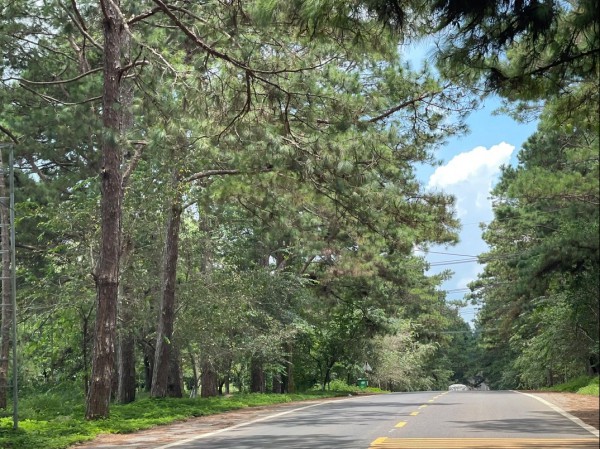 Măng Đen làm gì để thu hút 2,5 triệu lượt khách? Măng Đen làm gì để thu hút 2,5 triệu lượt khách?