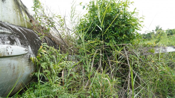 Máy bay MiG-21 bị 'bỏ quên' nhiều năm giữa khu dân cư Cà Mau Máy bay MiG-21 bị 'bỏ quên' nhiều năm giữa khu dân cư Cà Mau