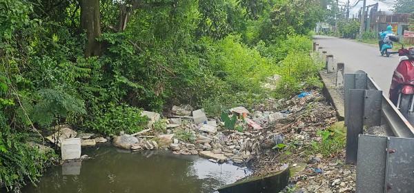 Mưa lớn gây ngập hàng ngàn mét vuông rau màu ở TP.HCM, nông dân thiệt hại nặng