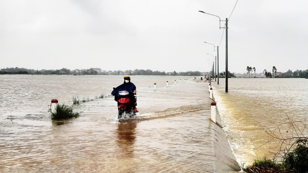 Mưa lớn gây ngập úng hàng ngàn ha lúa vừa gieo sạ ở Bình Định