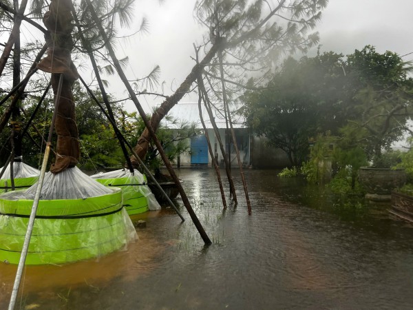 Mưa lớn khiến lũ các sông ở Huế lên cao, một số nơi ngập sâu Mưa lớn khiến lũ các sông ở Huế lên cao, một số nơi ngập sâu