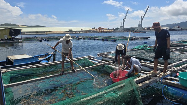 Nam Trung bộ căng mình ứng phó bão Kalmaegi Nam Trung bộ căng mình ứng phó bão Kalmaegi