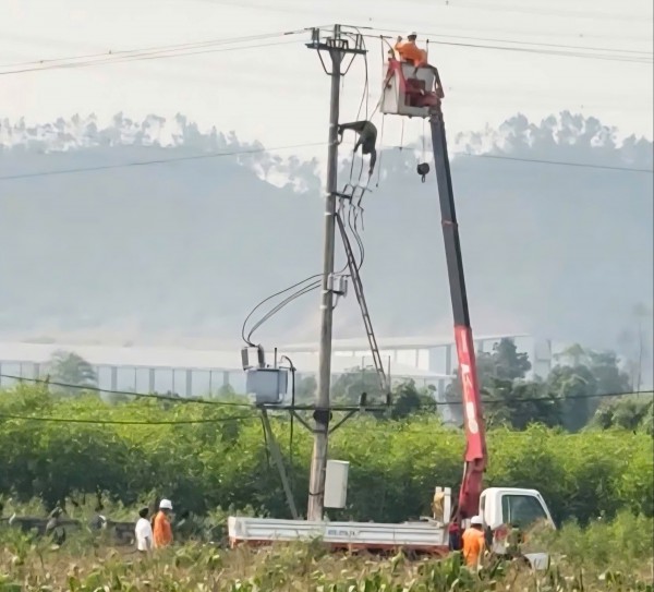 Nam sinh lớp 8 tử vong trên cột điện