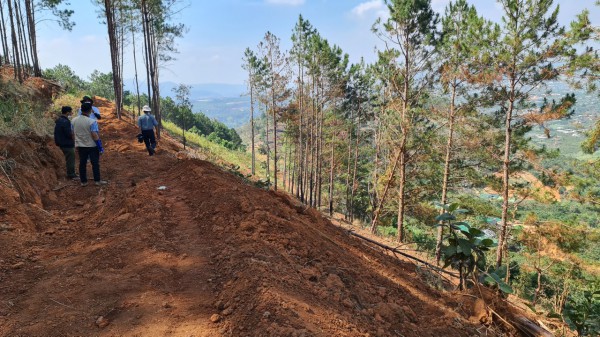 Nghịch lý quy hoạch 3 loại rừng ở Lâm Đồng