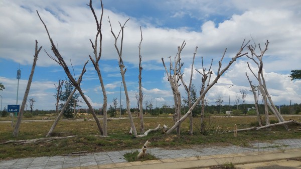 Ngổn ngang dự án khu đô thị 23.000 tỉ trên cát trắng mênh mông Ngổn ngang dự án khu đô thị 23.000 tỉ trên cát trắng mênh mông