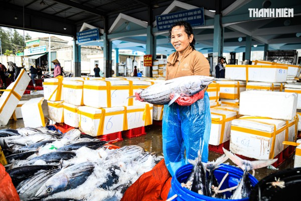 Ngư dân Quảng Ngãi rộn ràng phiên biển cuối năm: 'Mệt mấy cũng vui'