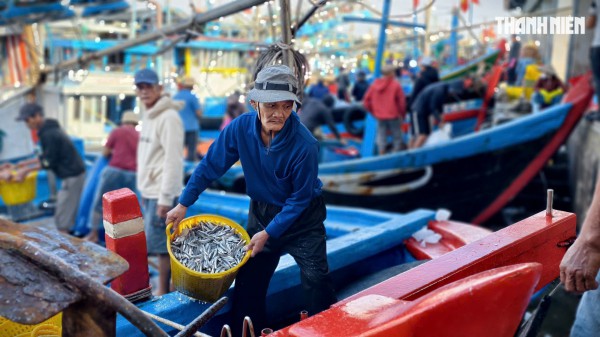 Ngư dân Quảng Ngãi rộn ràng phiên biển cuối năm: 'Mệt mấy cũng vui'