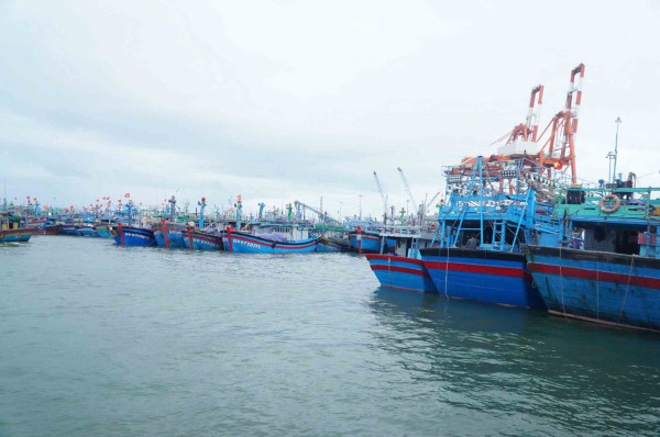 Ngư dân nỗ lực vượt khó