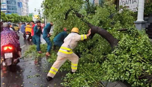 Nhiều cây xanh ở trung tâm TP.HCM ngã chắn giữa đường sau mưa lớn