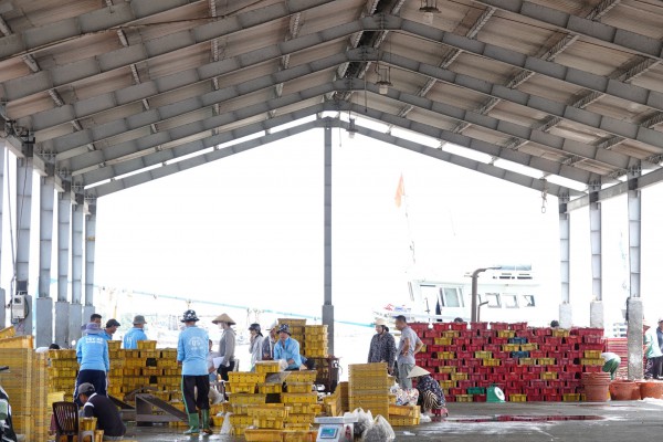 Nhịp sống ở cảng cá Trần Đề: Người bốc xếp, vá lưới tất bật theo mùa cá