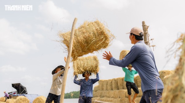 Nhộn nhịp chợ rơm cuộn Ba Lai: Nụ cười xua tan cái mệt dưới nắng hè