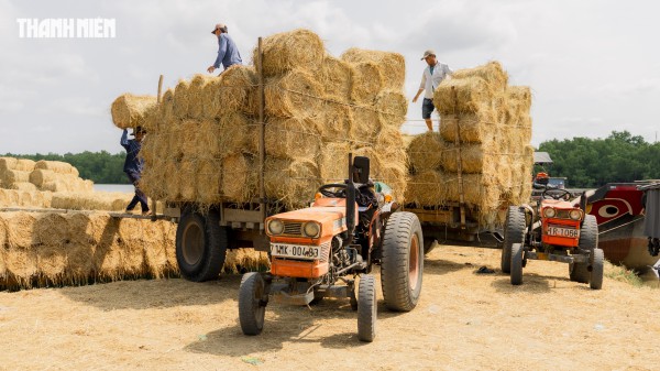 Nhộn nhịp chợ rơm cuộn Ba Lai: Nụ cười xua tan cái mệt dưới nắng hè