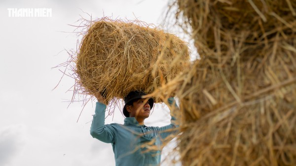 Nhộn nhịp chợ rơm cuộn Ba Lai: Nụ cười xua tan cái mệt dưới nắng hè