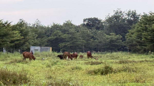 Những dự án khu dân cư không một bóng người Những dự án khu dân cư không một bóng người